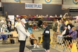 2012 BHCC National Specialty - Veteran Dogs